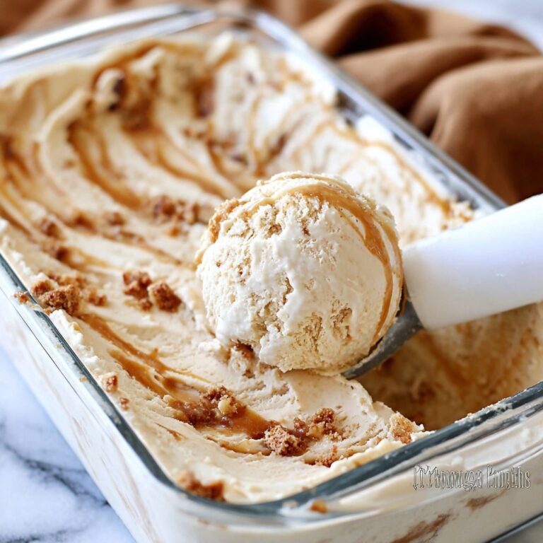 Easy Biscoff Ice Cream Recipe